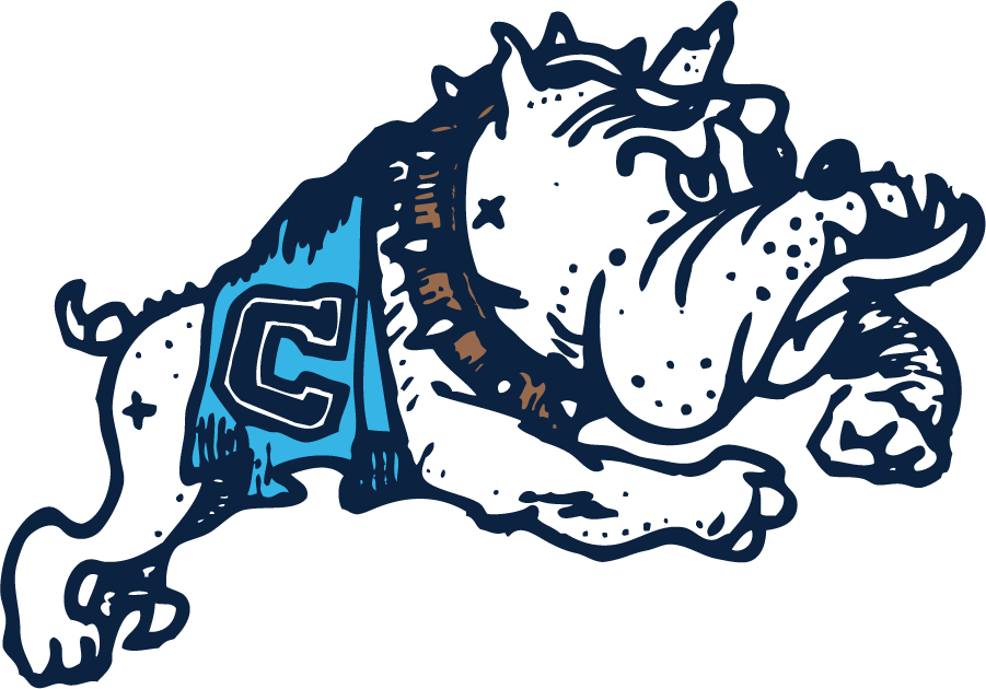 The Citadel Bulldogs 1969-1987 Secondary Logo diy DTF decal sticker